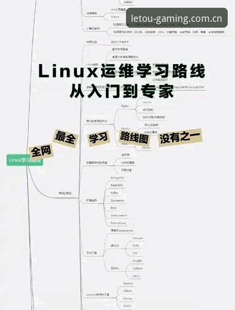 letou下载安装全流程深度解析：从入门到精通的实战指南